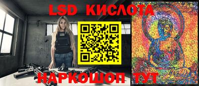 прущие крисы Бердск